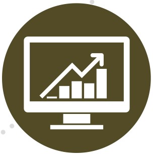 Analyze Analyze Icon