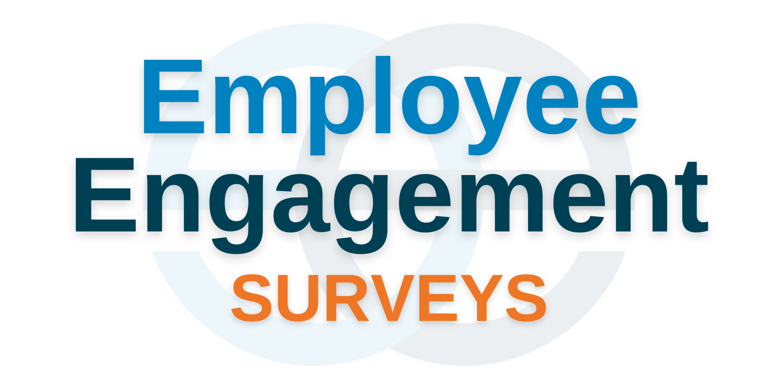 Employee Engagement Surveys and 360 Assessments